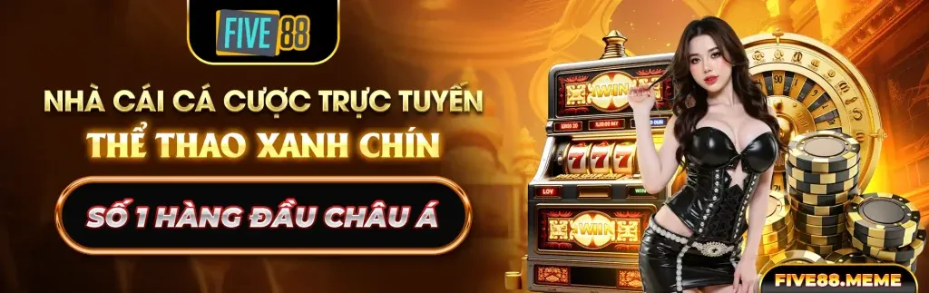 Hình ảnh giới thiệu về các quy định và điều khoản của soi kèo fb88.
